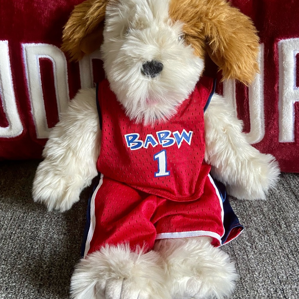Build a Bear Hoops Dog